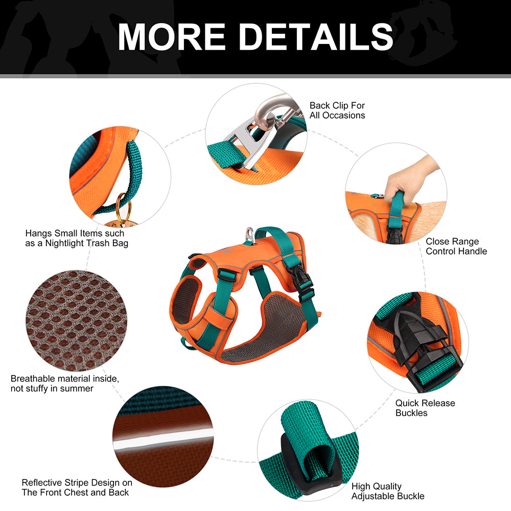 Indoor-Play Glowsafe No Pull Frenchie Harness Reflective Training Ves...