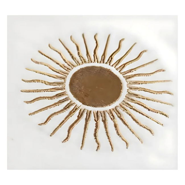 New Durable Argentina Home Team Kit