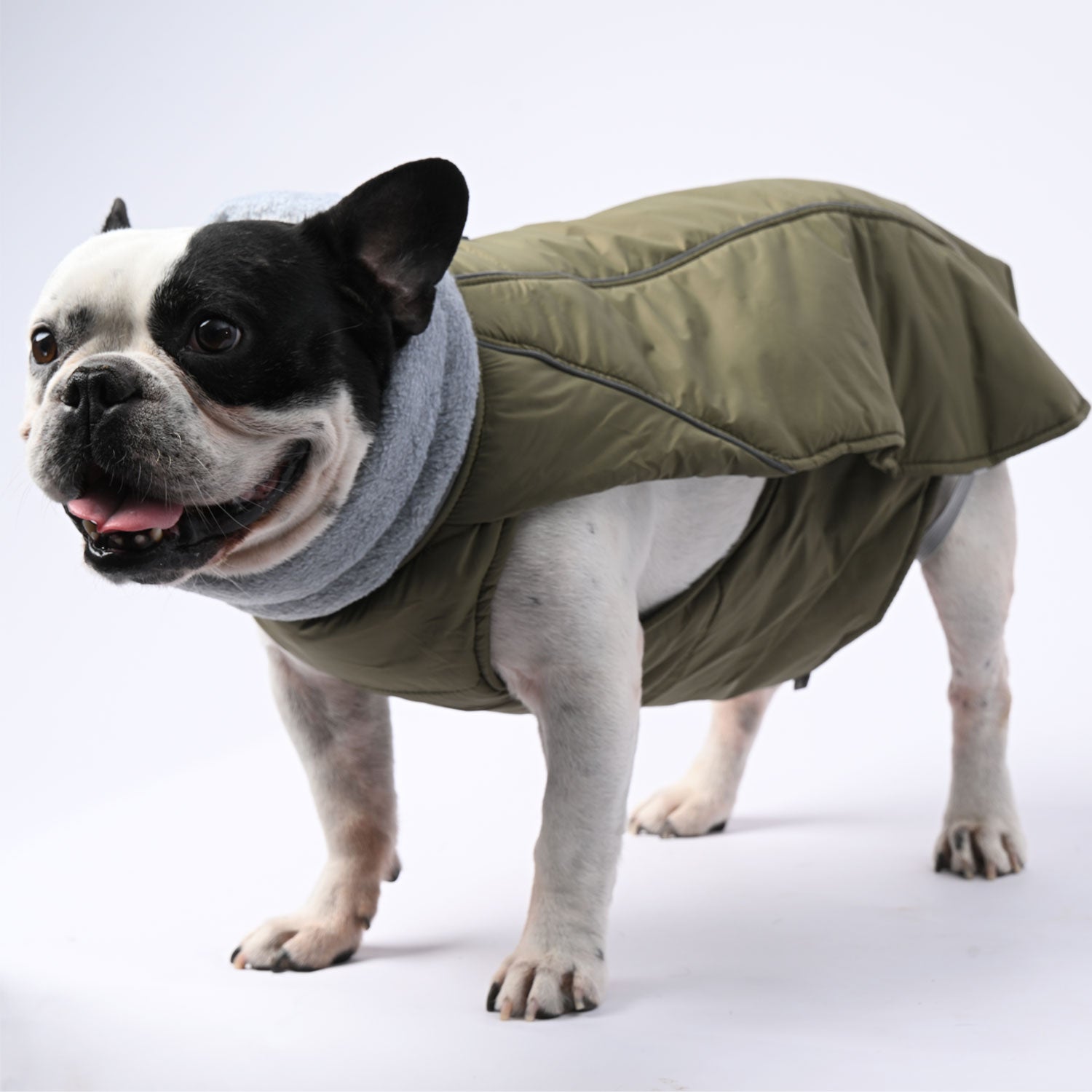 French Bulldog Chillelite Frenchie Luxury Winter Jacket Warm Dog Outfit