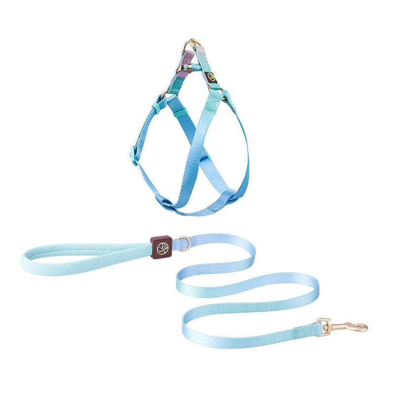 Indoor-Play Frenchie No Pull Harness Leash Set Combining Comfort With...