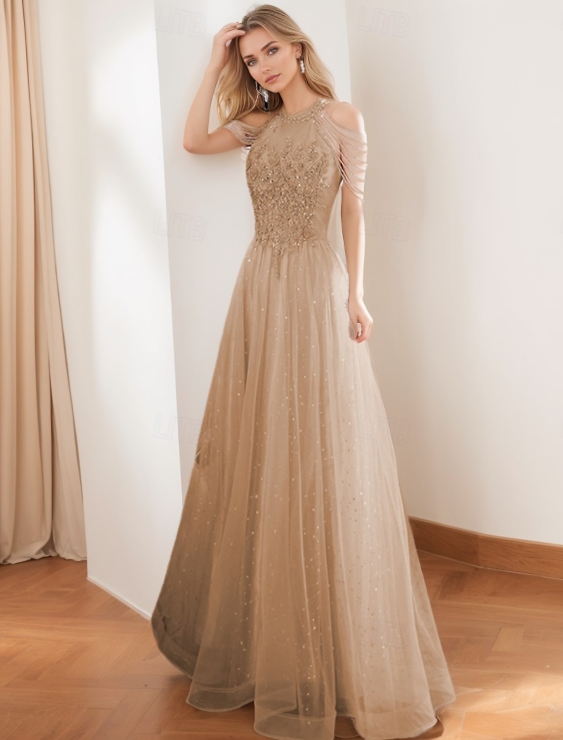 A-Line Prom Dresses Vintage Dress Formal Prom Floor Length Sleeveless High Neck Tulle with Glitter Tassel