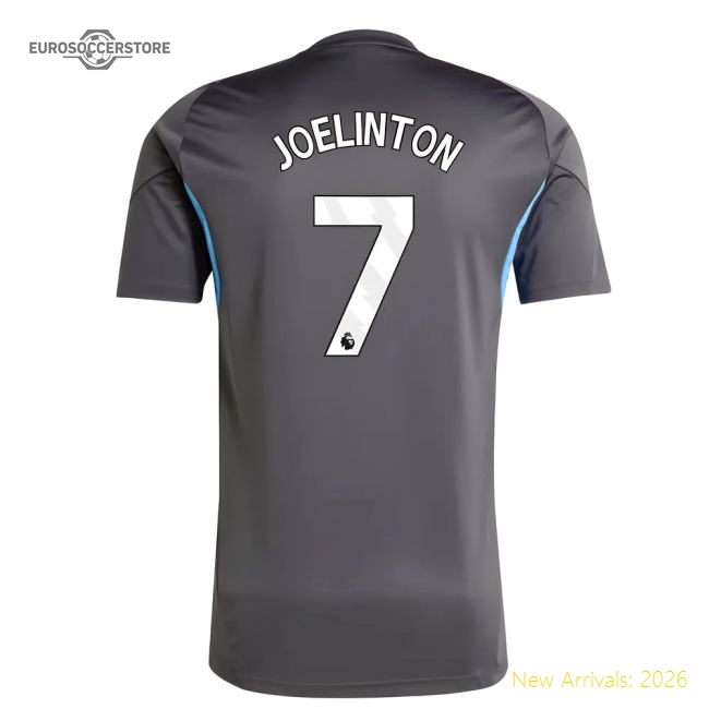 2025-2026 Newcastle Training Shirt (grey) (joelinton 7) - Affordable