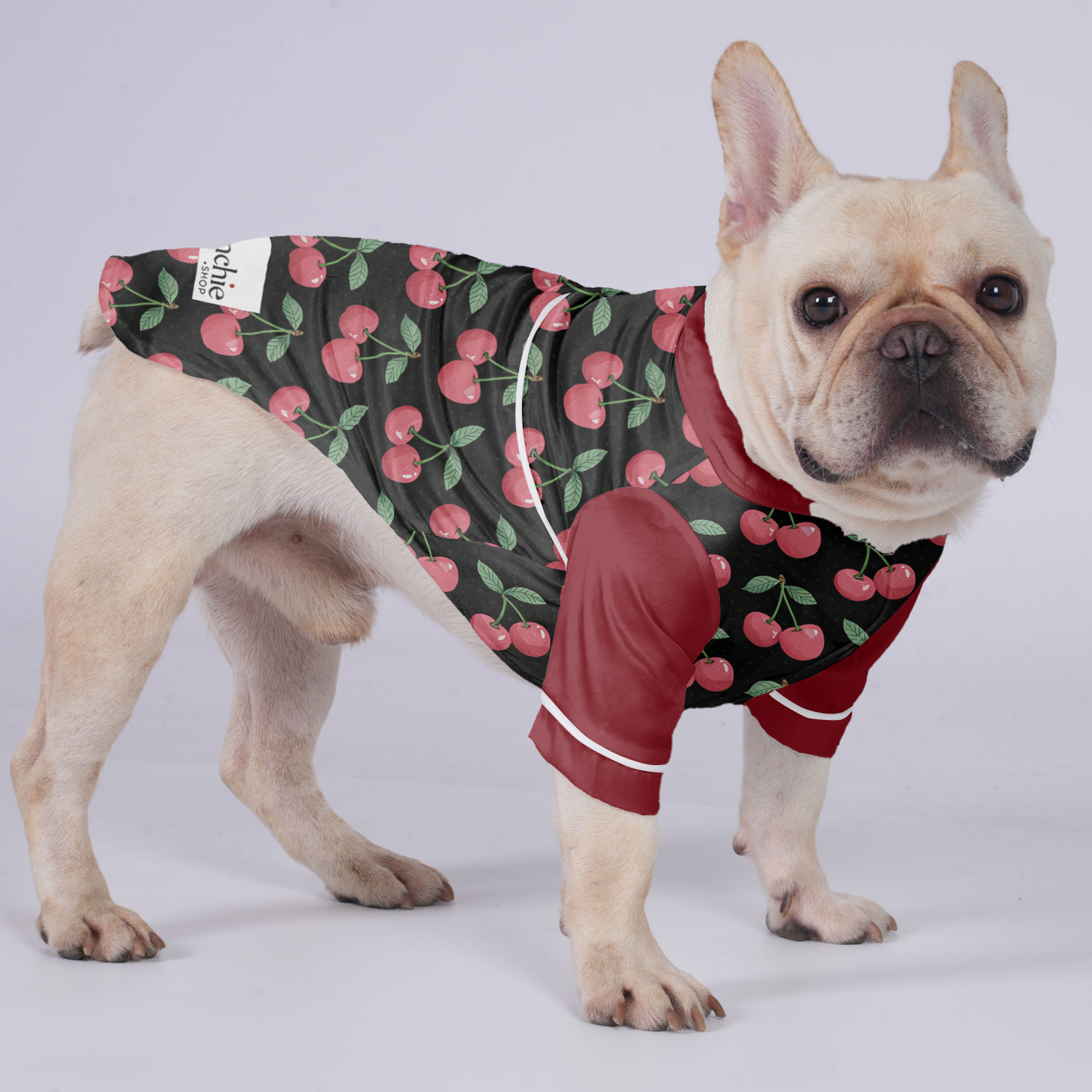 Luna - Vet-recommended Pajamas For French Bulldog Dog Supplies