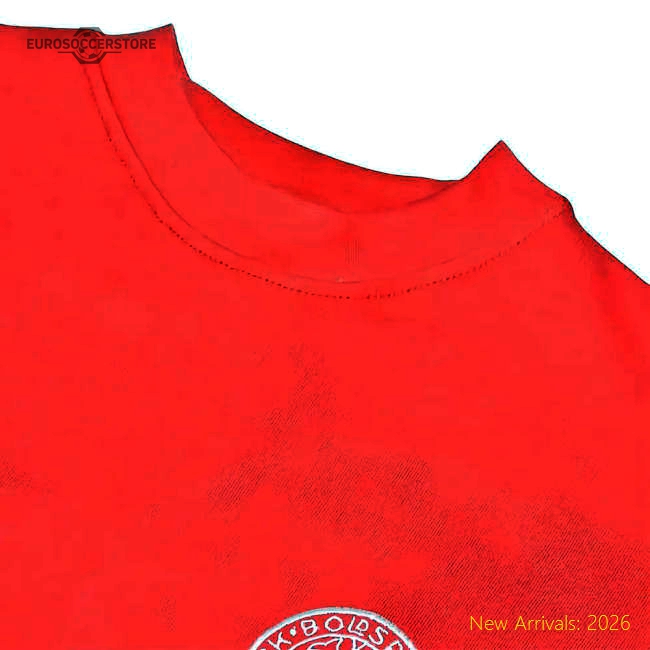 Durable Denmark 2024-2025 Regular Shirt - Movement Mobility