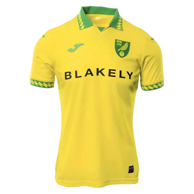Norwich City official style Home Shirt 2025-2026 (Unisex