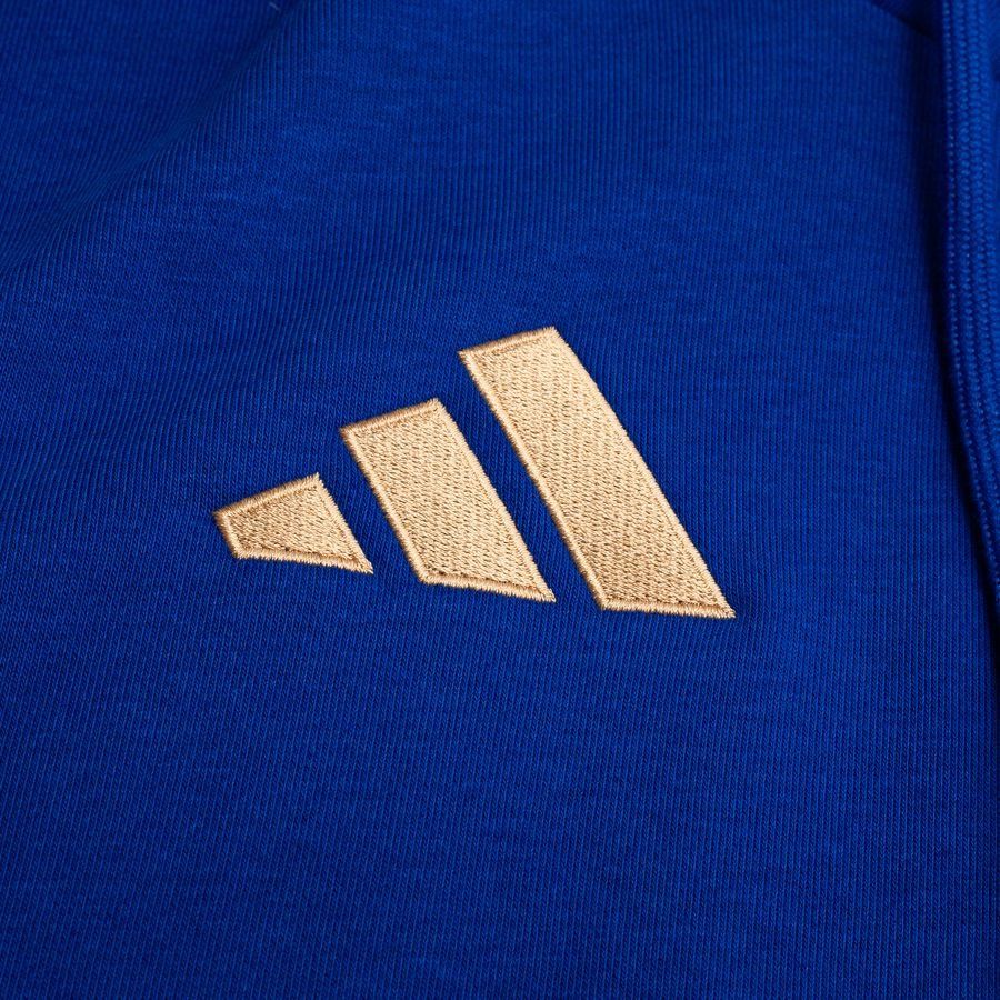 Italy Hoodie Dna Bold Blue For Algeria Football Fans
