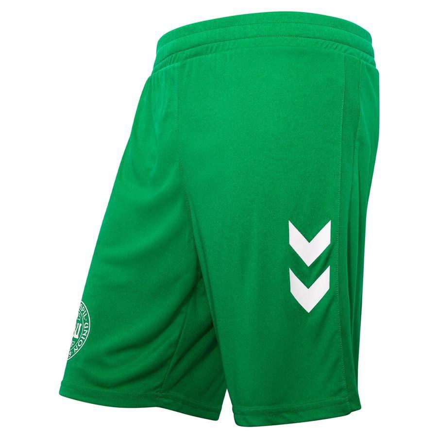 [EFKS] Denmark Shorts Goalkeeper Kit 2024/25