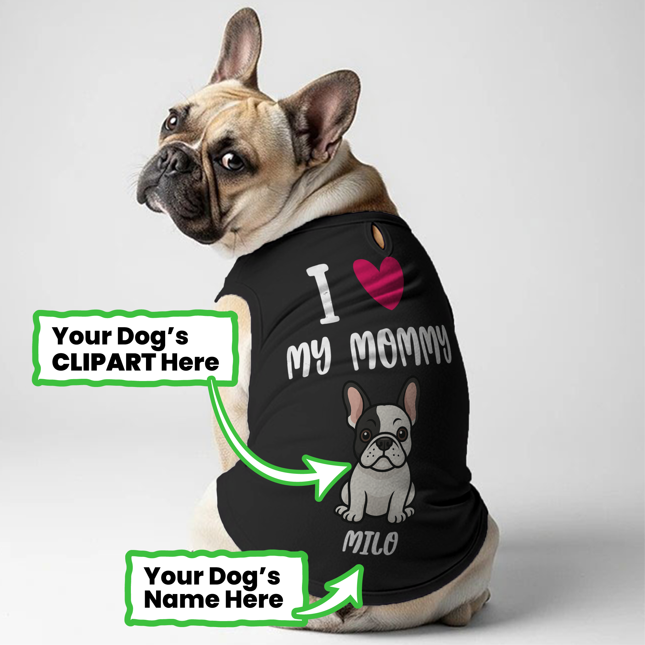 Frenchie Shirt | Custom Dog T-shirt For French Bulldogs Indoor Comfort