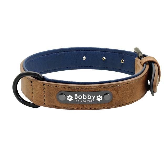 Personalized French Bulldog Collar