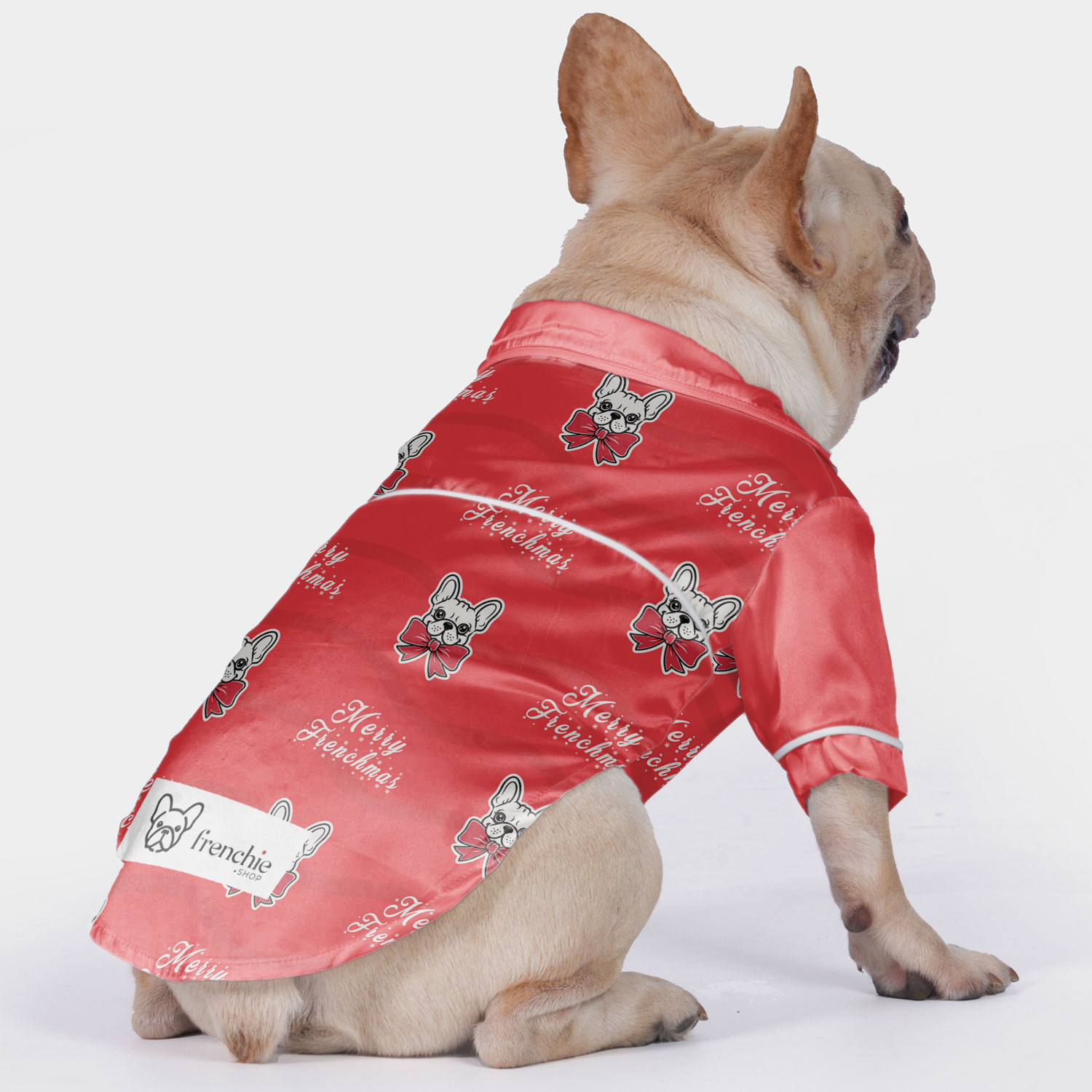 Trendy Gucci - Pajamas For French Bulldog for Fashion Lovers Stylish