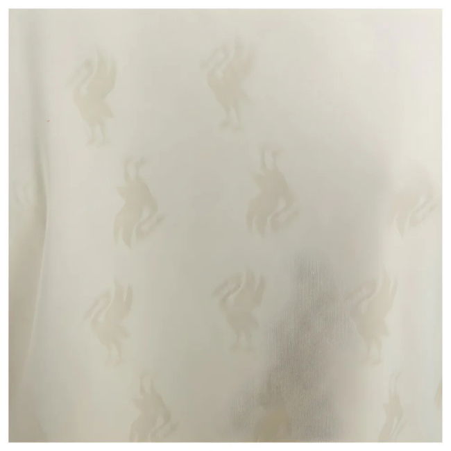 Limited Liverpool Away Jersey 1996-1997