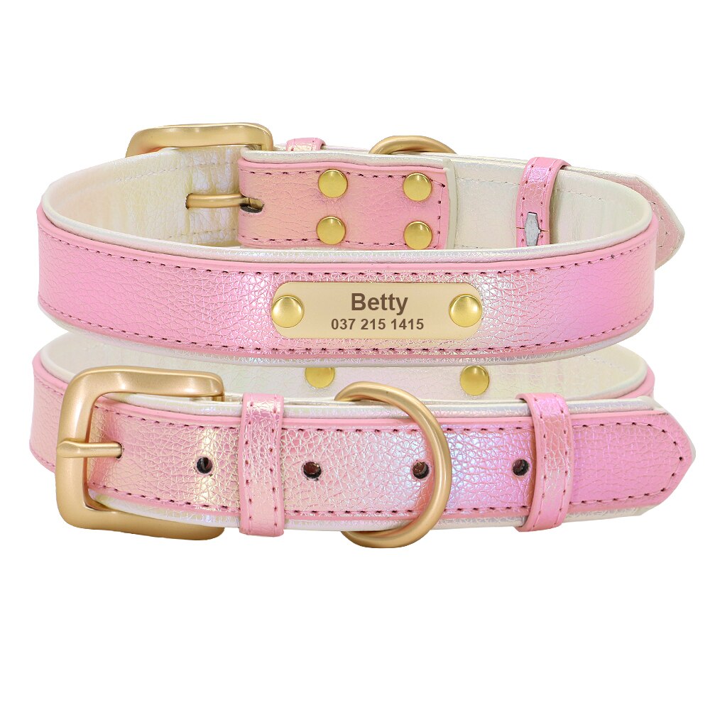 Durable Frenchie Collar In Pu Leather Custom Fit And Style Everyday Use