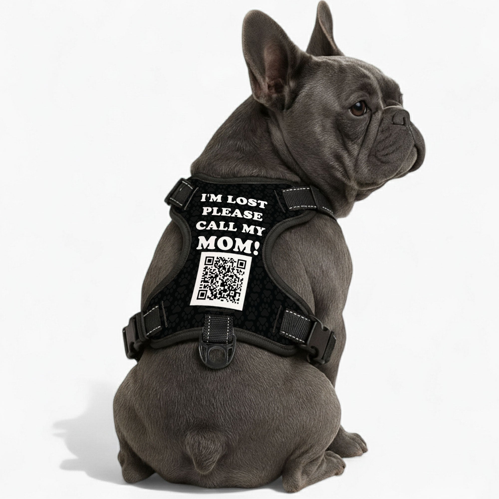 French Bulldog Gus Personalized No Pull French Bulldog Dog Harness Practical Dog Gear