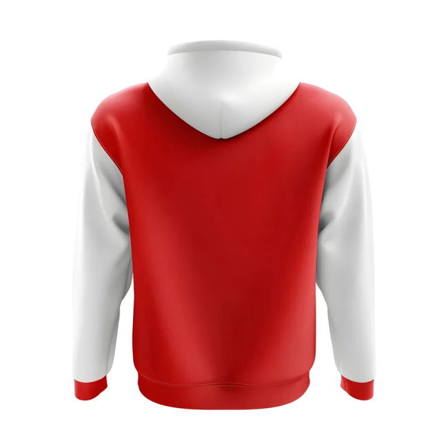 Official Denmark Concept Country Football Authentic Premium