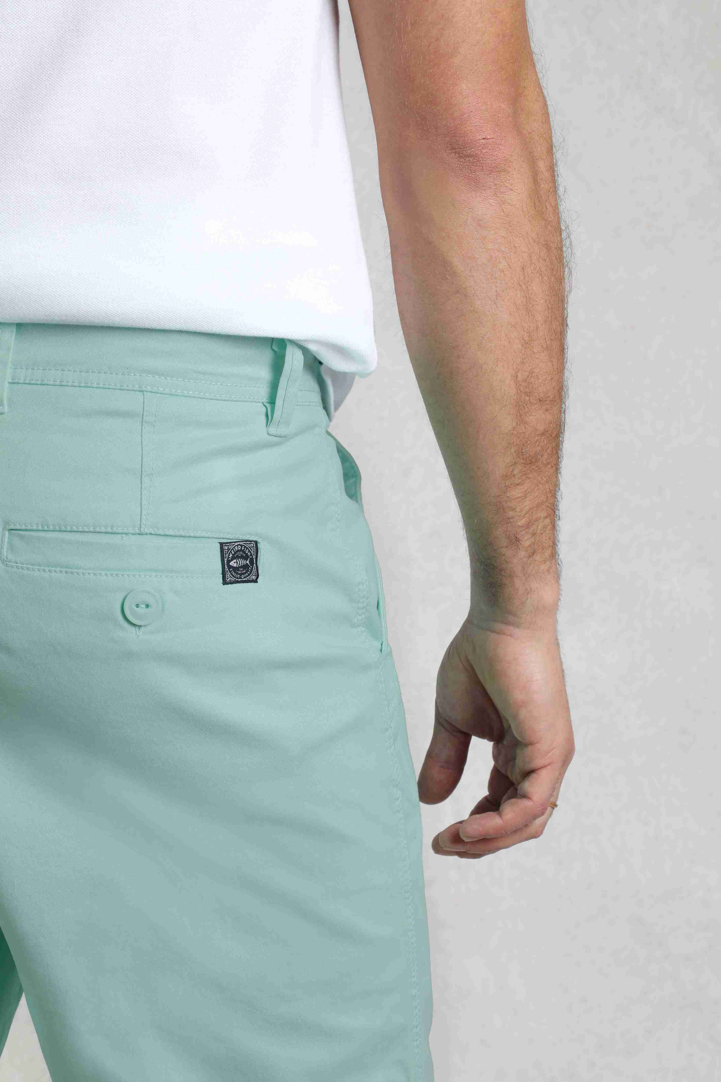 Rayburn Cotton Flat Front Shorts Seafoam