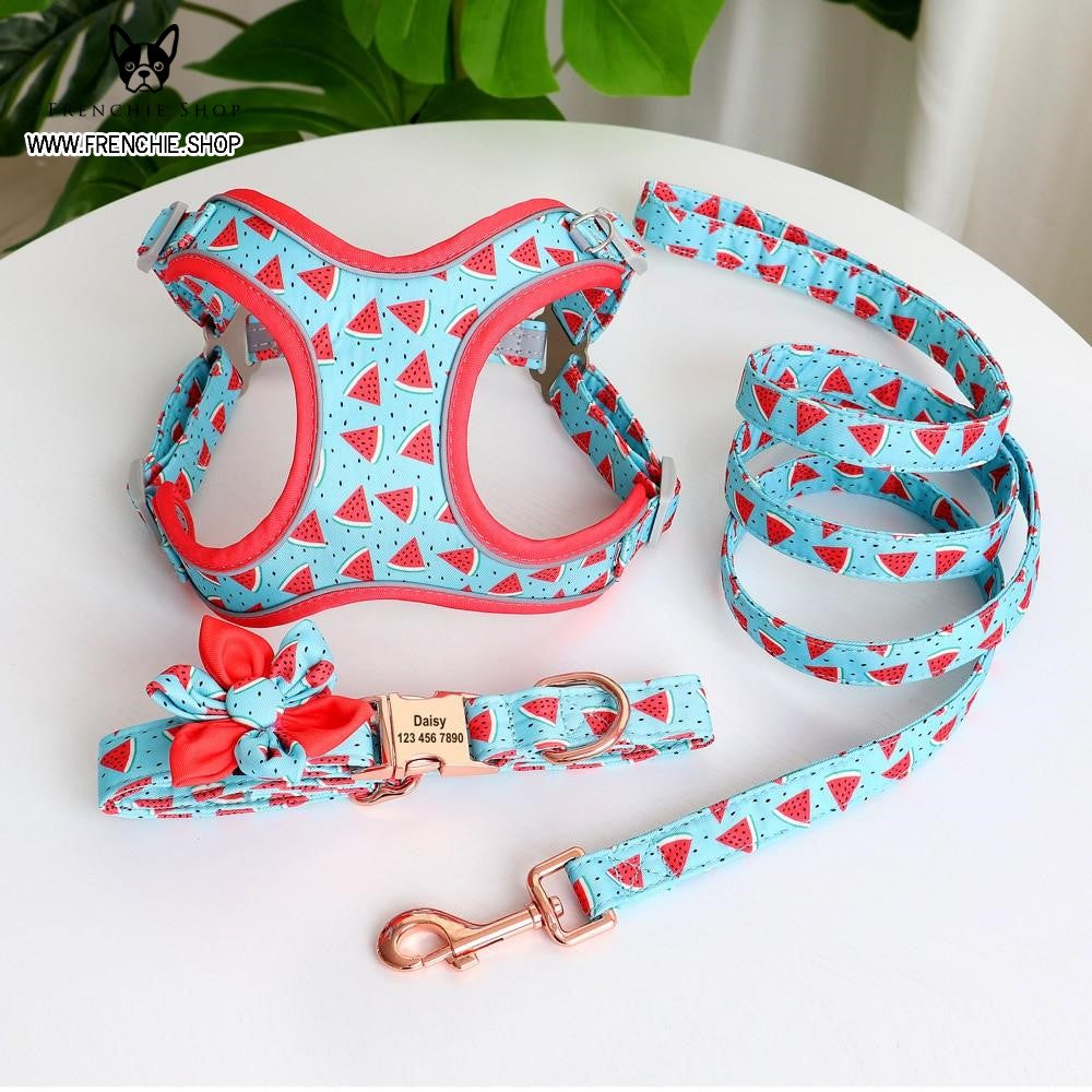 Fruit - Premium Harness For French Bulldog (w321) Paw Protection