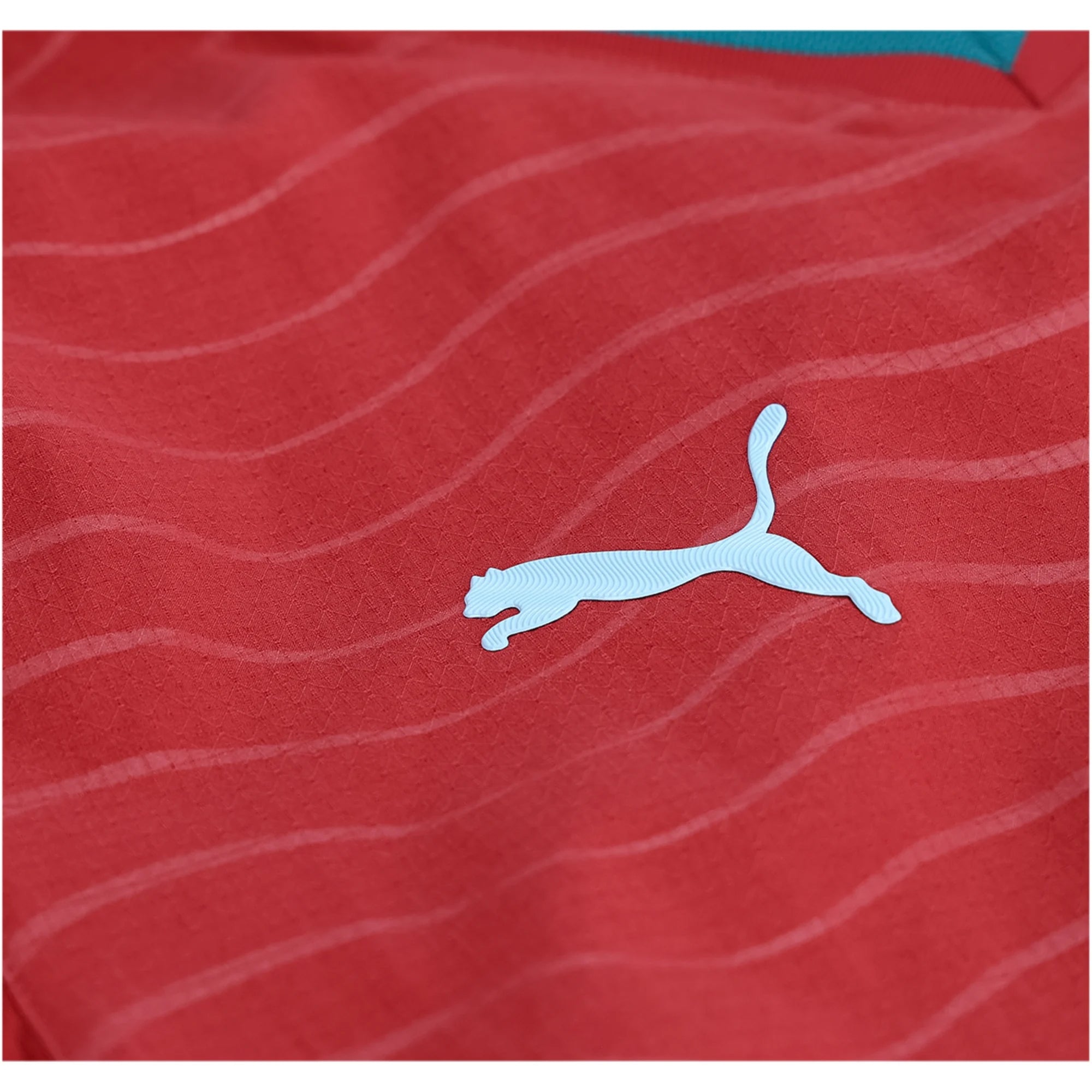 Portugal National Team 2026-2027 FIFA World Cup Home Jersey –  Fan Version S