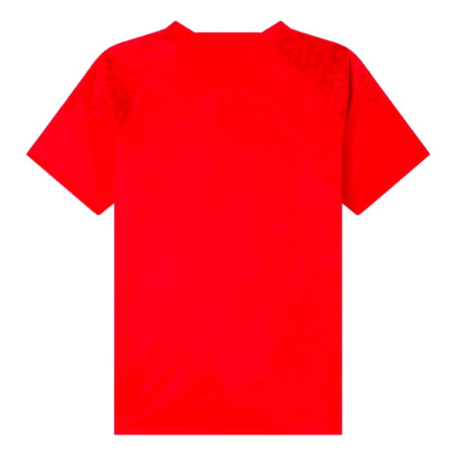 AC Milan Classic Jersey 2023-2024