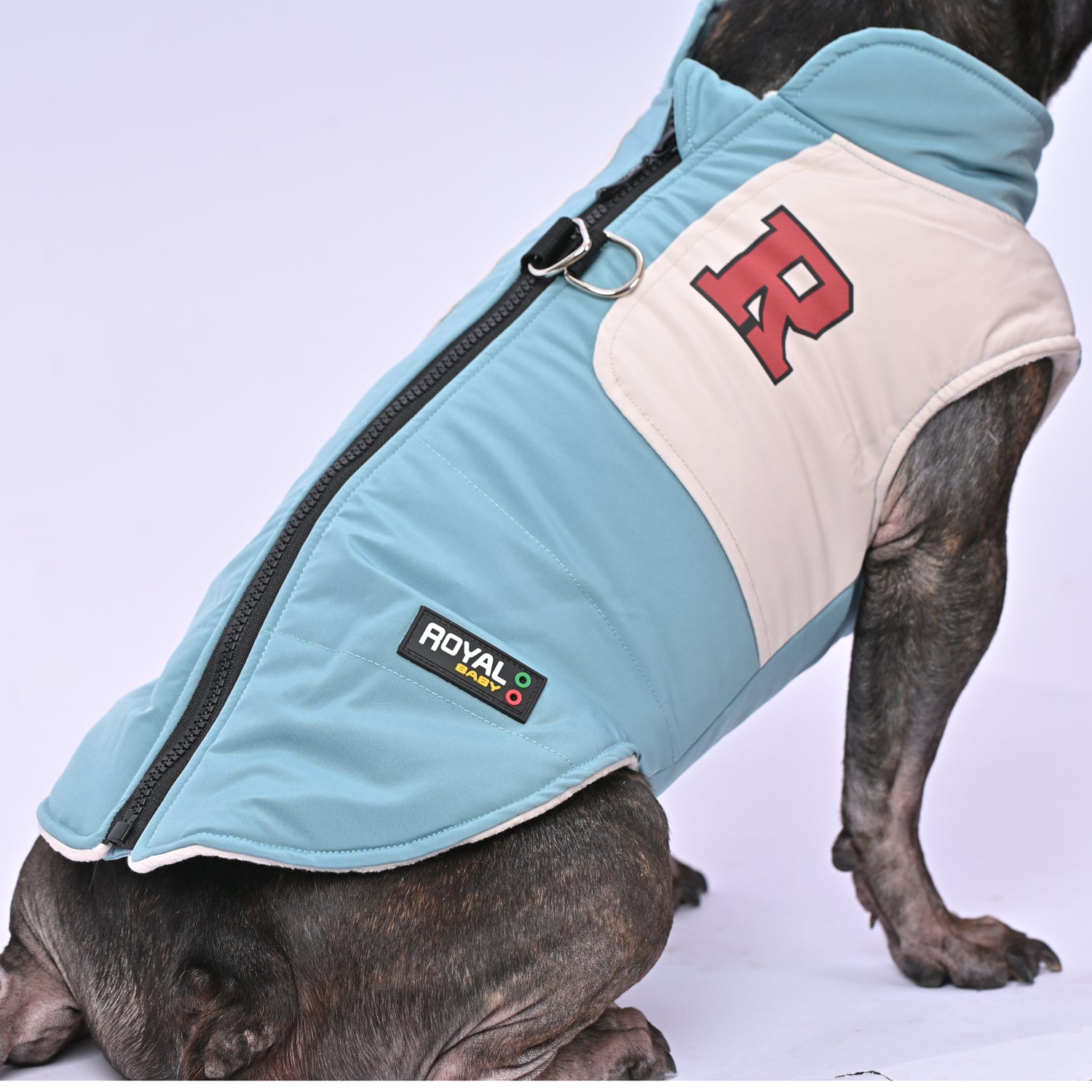 Secure-Fit Frostbite Outfit - Frenchie Winter Jacket With Harness Set...