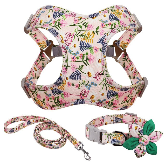 Harness Set For French Bulldog (ws243) Paw Protection | Non-slip Design