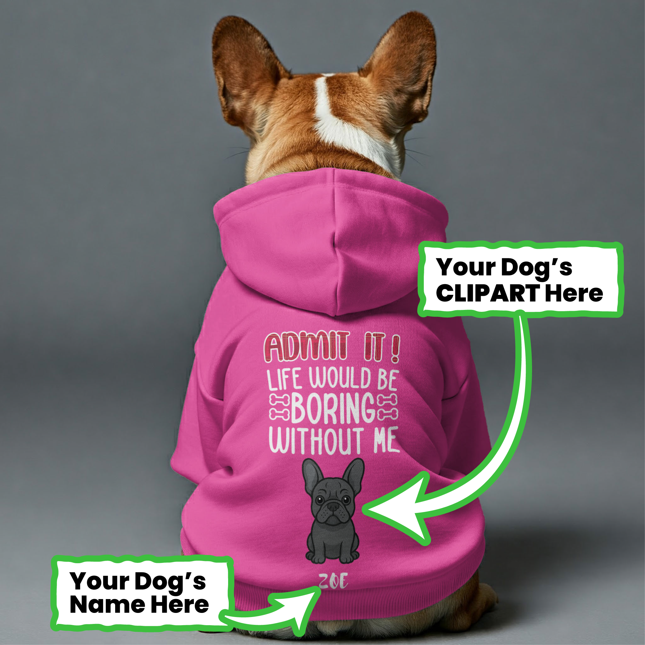 ADMIT IT - Personalized French Bulldog hoodies with funny quotes, custom name, and custom clipart matching your Frenchie's color – Stylish, Cozy, and Premium 100% Cotton