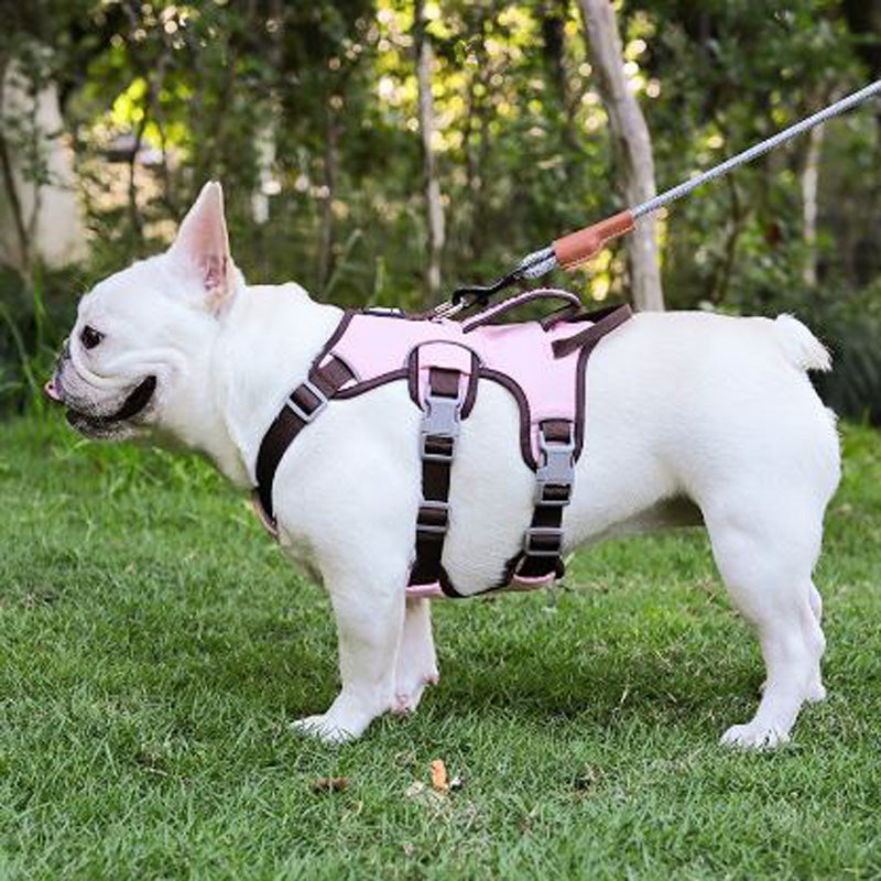 Reflective Chest Strap For Night Safety Summer Wear | Safe For Paws