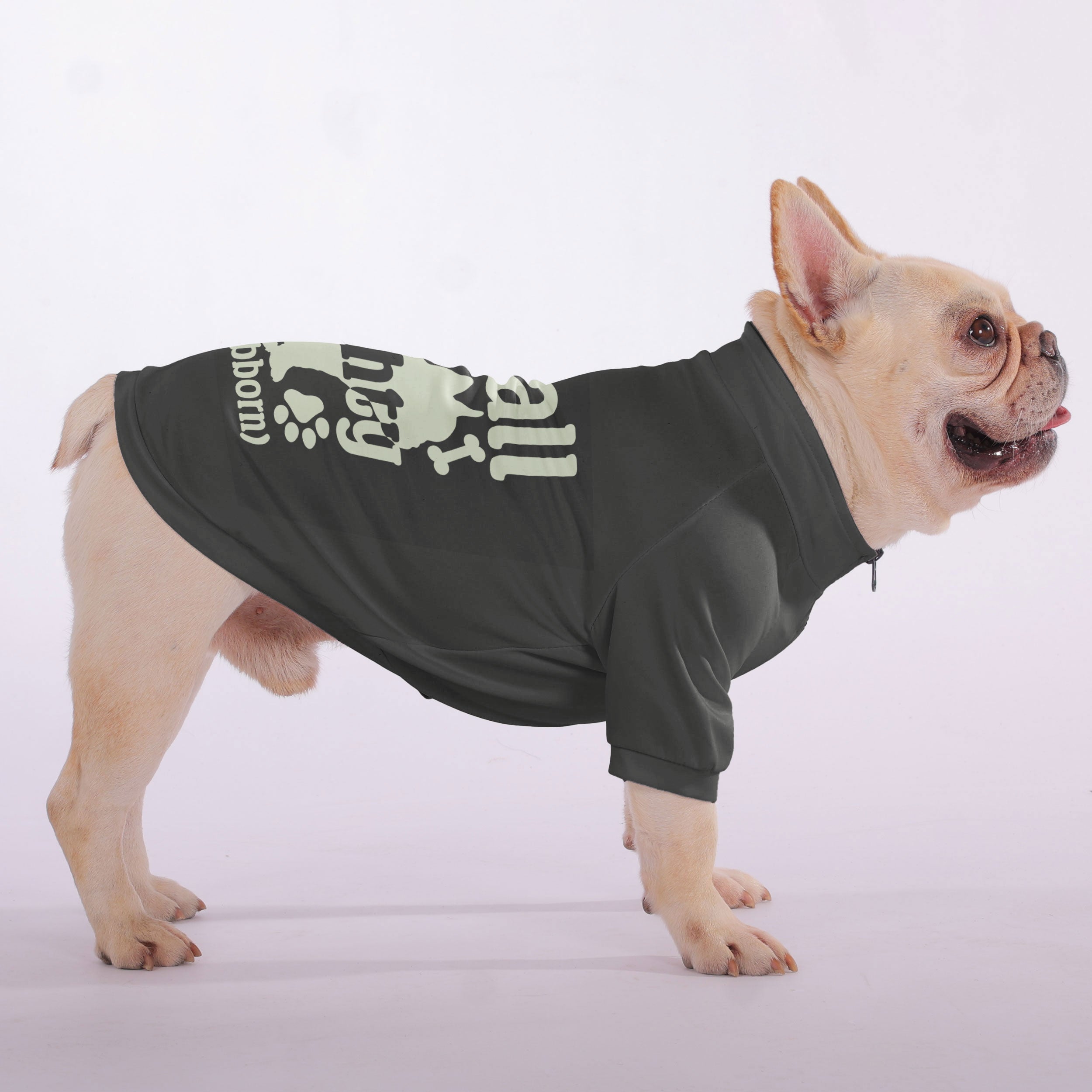 French Bulldog Small But Mighty (and Stubborn) Snuggly Zip Up