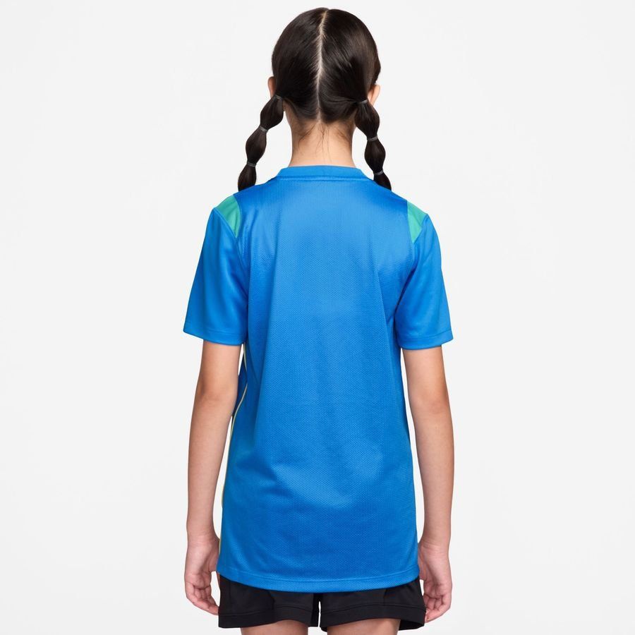 [EFKS] 2026 Brazil Dri FIT Academy Pro World Cup Photo Blue/Light Menta/Midwest