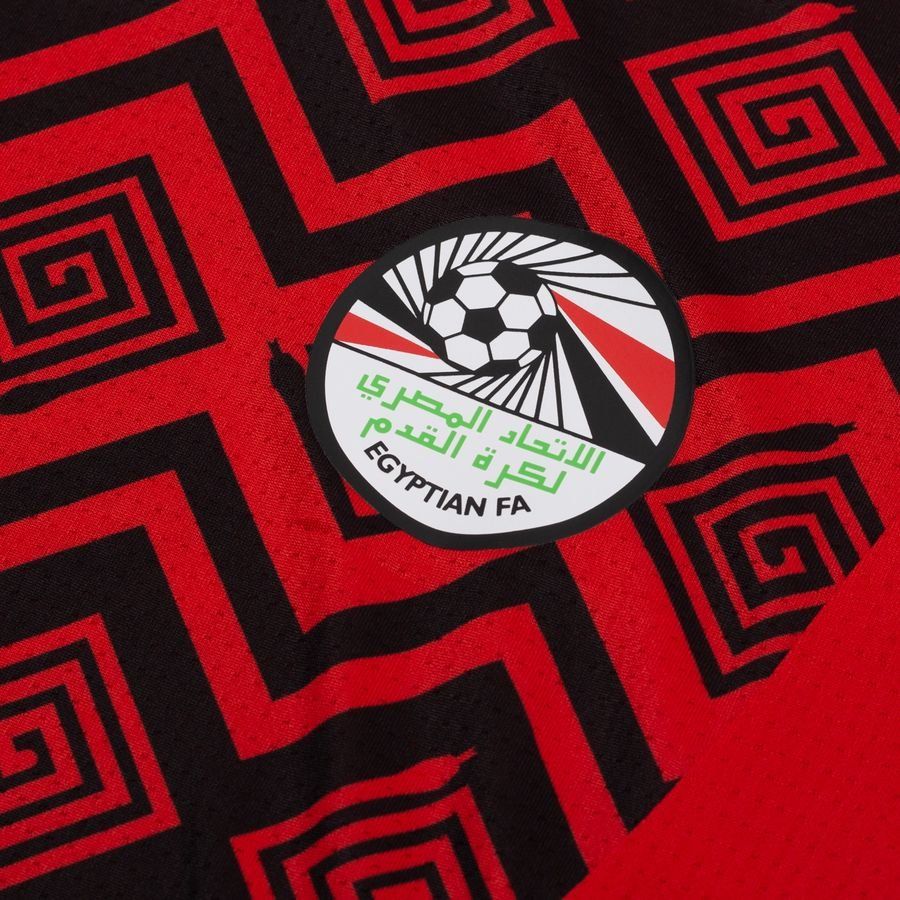Egypt Training T Shirt Pre Match Africa Cup Of Nations 2025 Puma Red/p