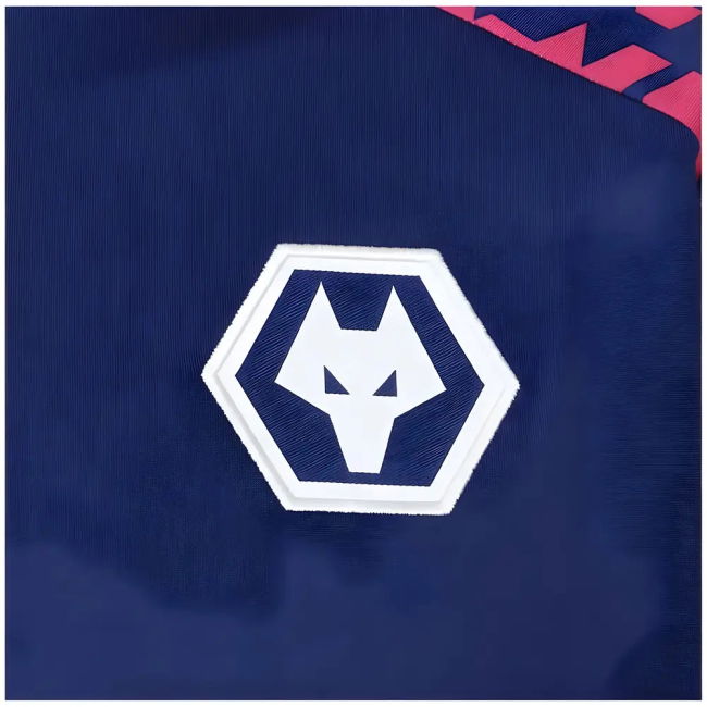 Women's 2024-2025 Wolves Pre Match 1/4 Zip Top (Blue/Pink)
