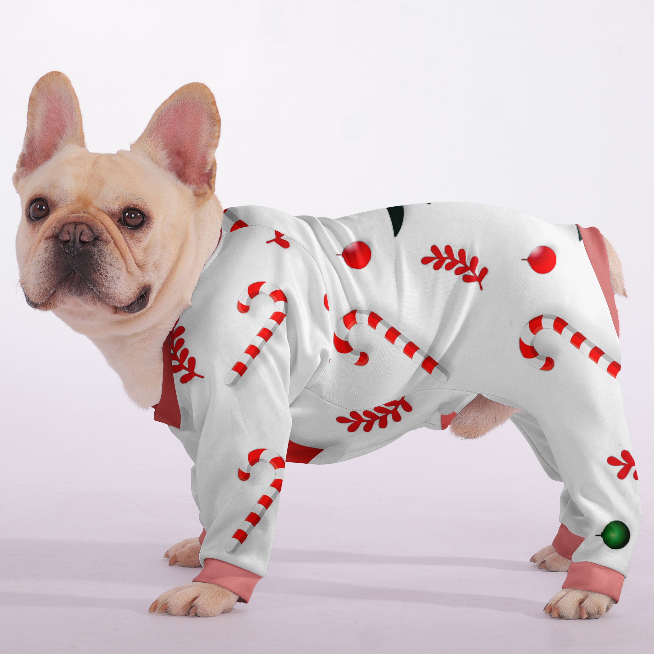 Zen - Frenchie Pajama