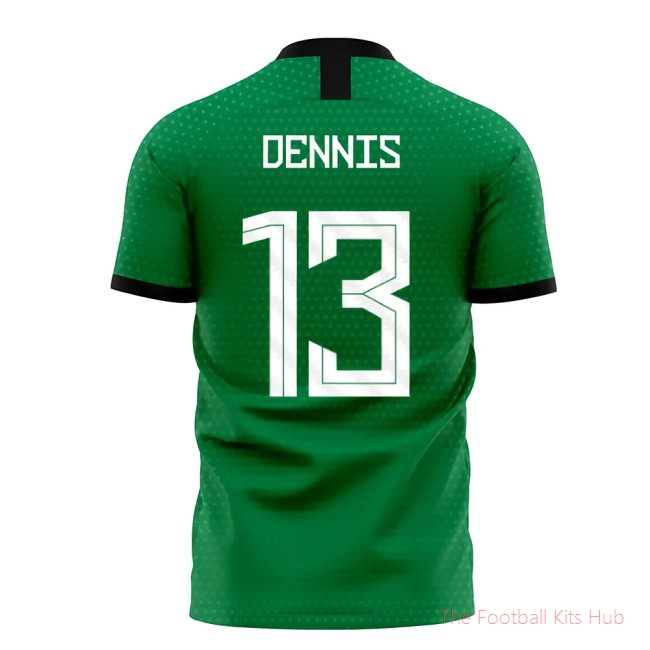 Nigeria 2025-2026 Home Concept Football Kit (Libero) (DENNIS 13)