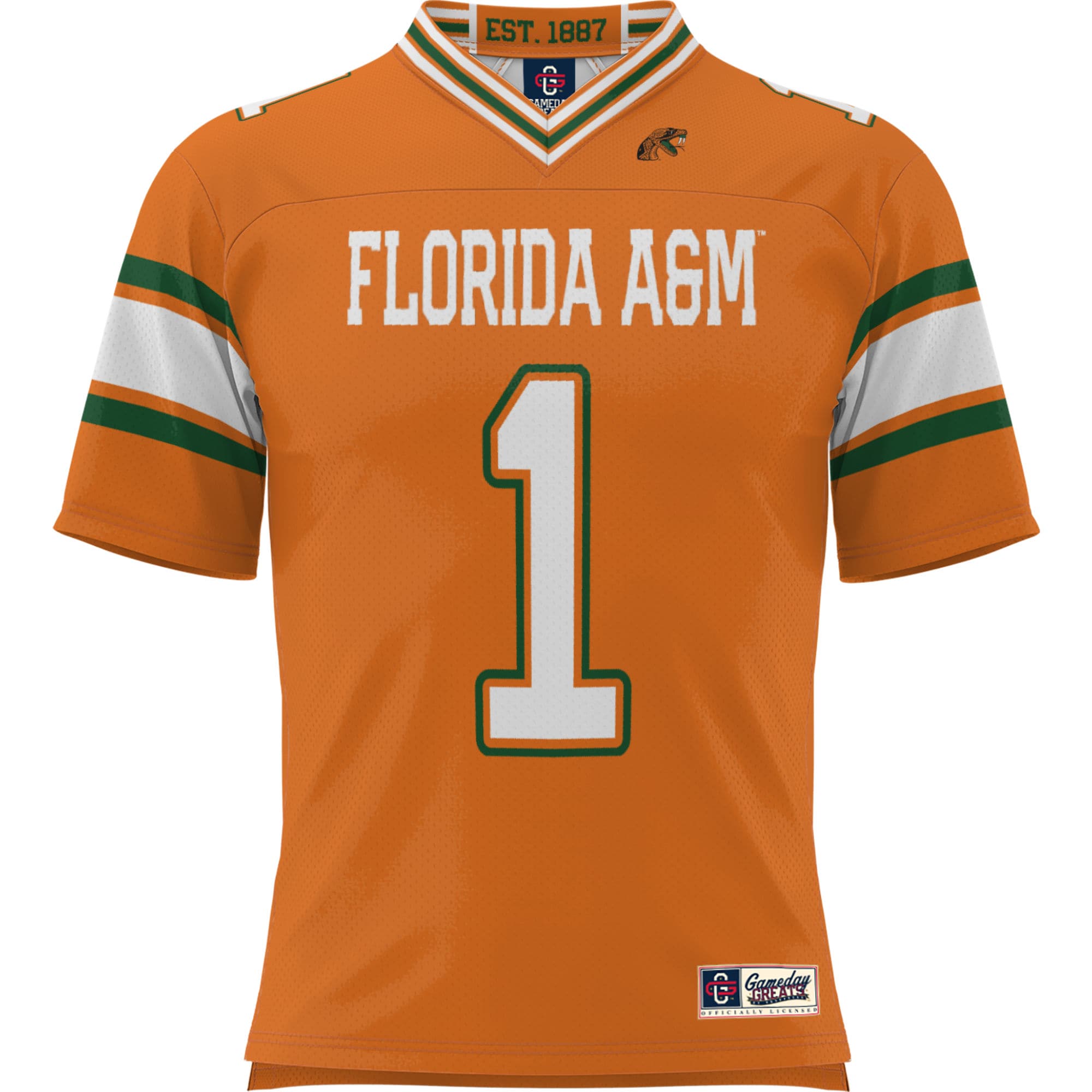 #1 Florida A&M Rattlers GameDay Greats Youth Football Jersey - Orange