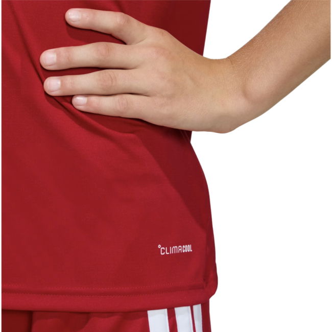 Limited Edition 2026-2027 Wales Professional Home Kids - Midfield