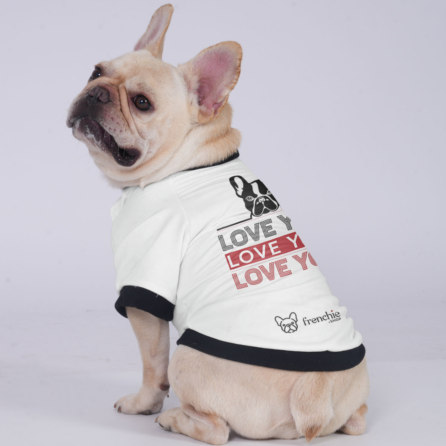 French Bulldog Luna Jacket For French Bulldog Durable Dog Clothes