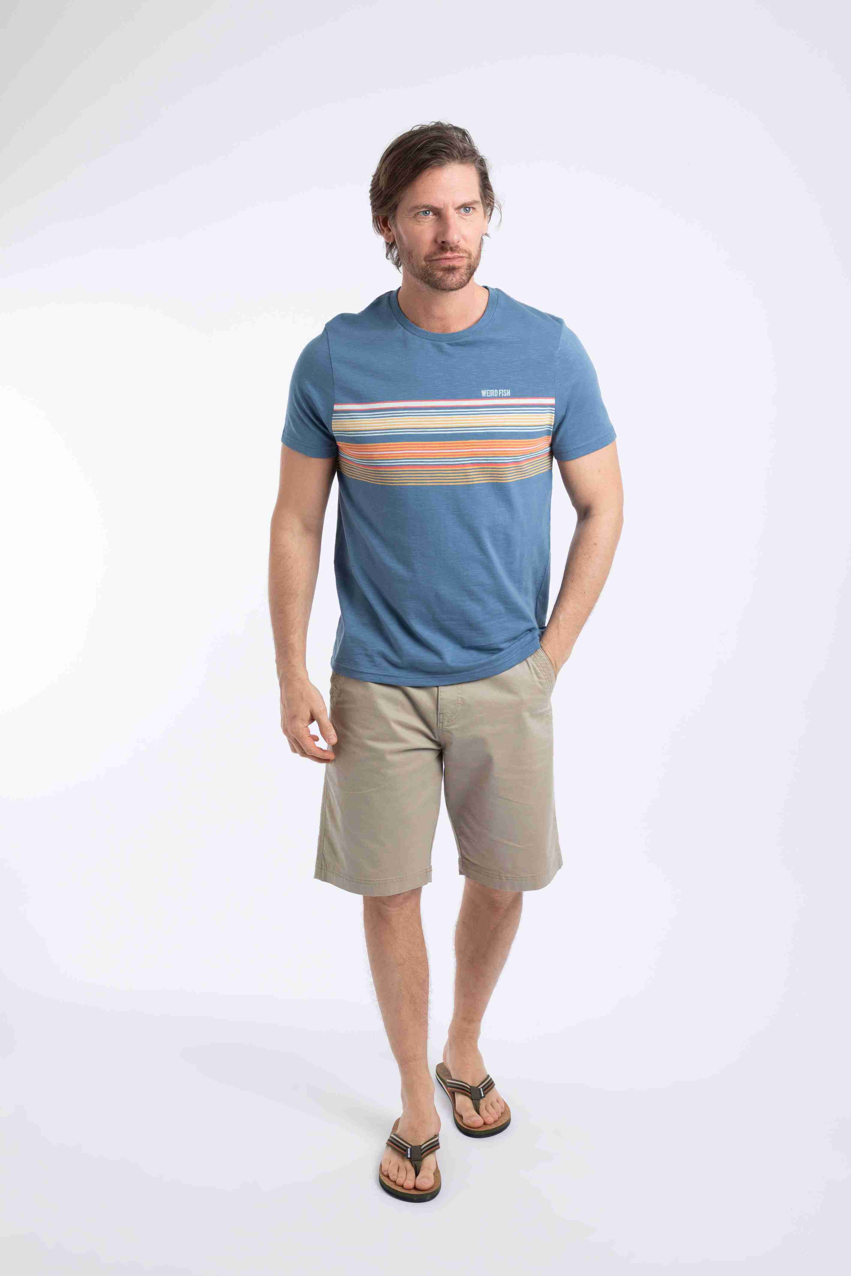 Cody Printed Stripe T-Shirt Washed Blue