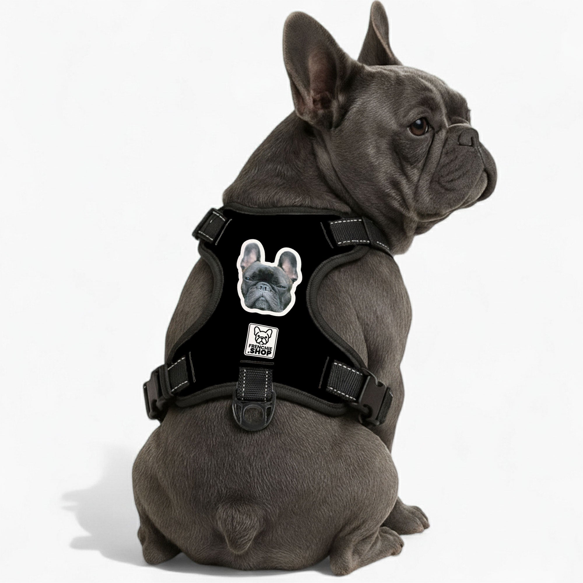 Personalized No-pull French Bulldog Dog Harness Pet Gear | Comfort Fit