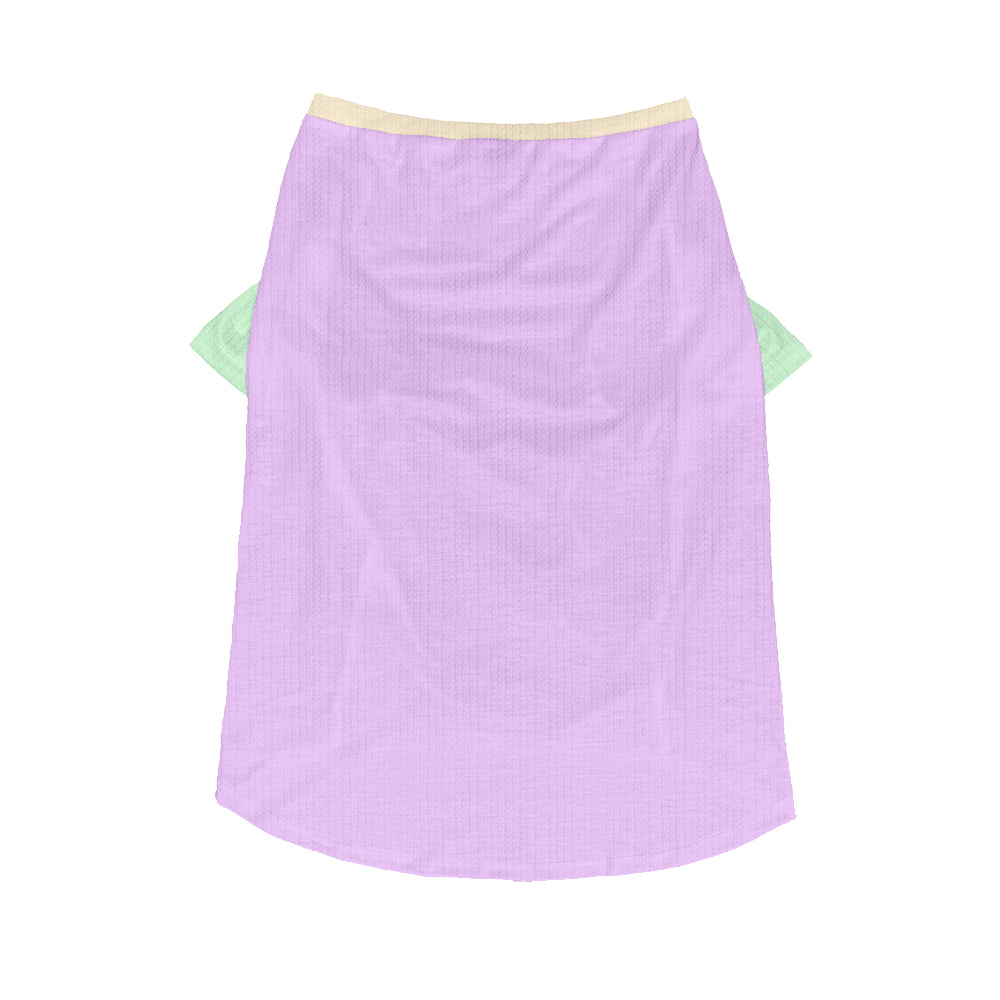 Lifestyle-Driven Lolli - Wool Sweater For Frenchies for French