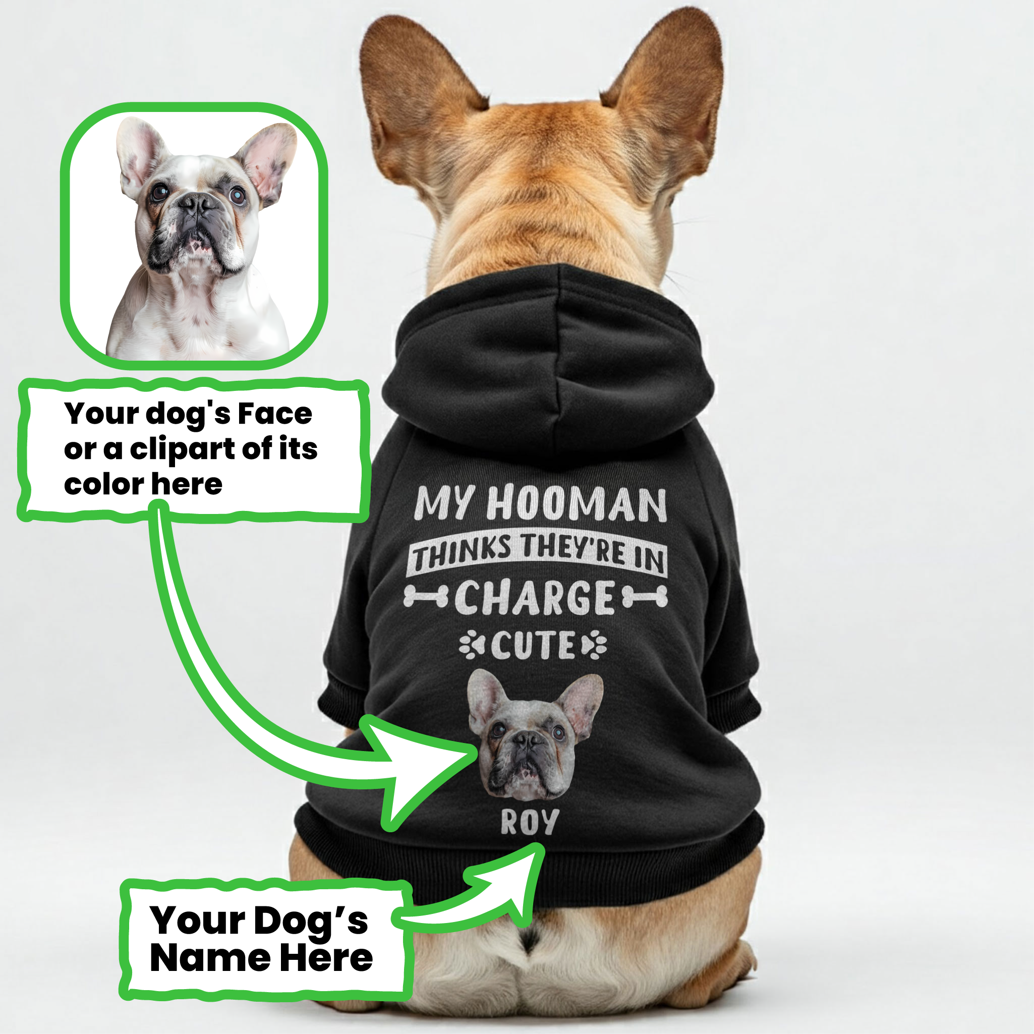 My hooman – Personalized French Bulldog Hoodies with Funny Quotes, Custom Name, and Your Frenchie’s Photo or Matching Clipart – Stylish, Cozy, and Premium 100% Cotton