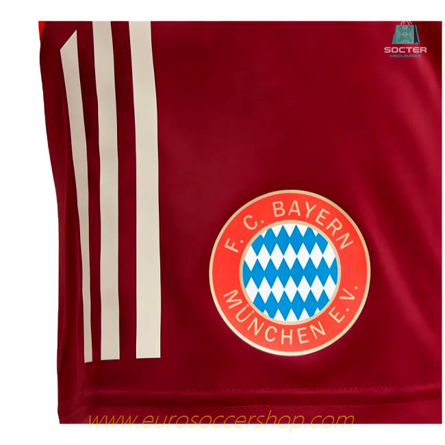 2024-2025 Bayern Munich EU Training Shorts (Shadow Red)