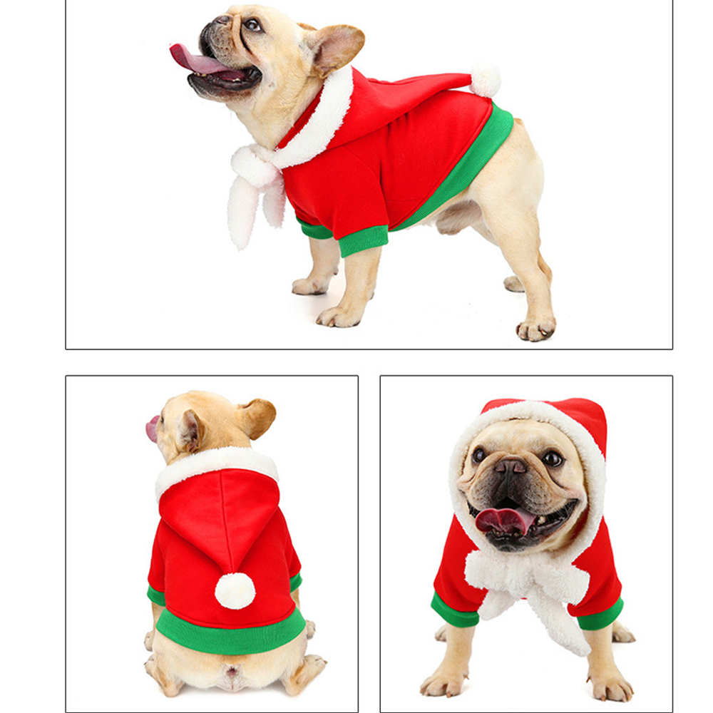 Costumes Spread Joy With Festive Fashion Summer Wear | Breed-optimized
