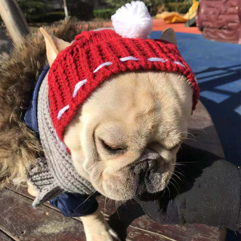 Winter - French Bulldog Themed Woolen Hat For French Bulldog Casual Wear