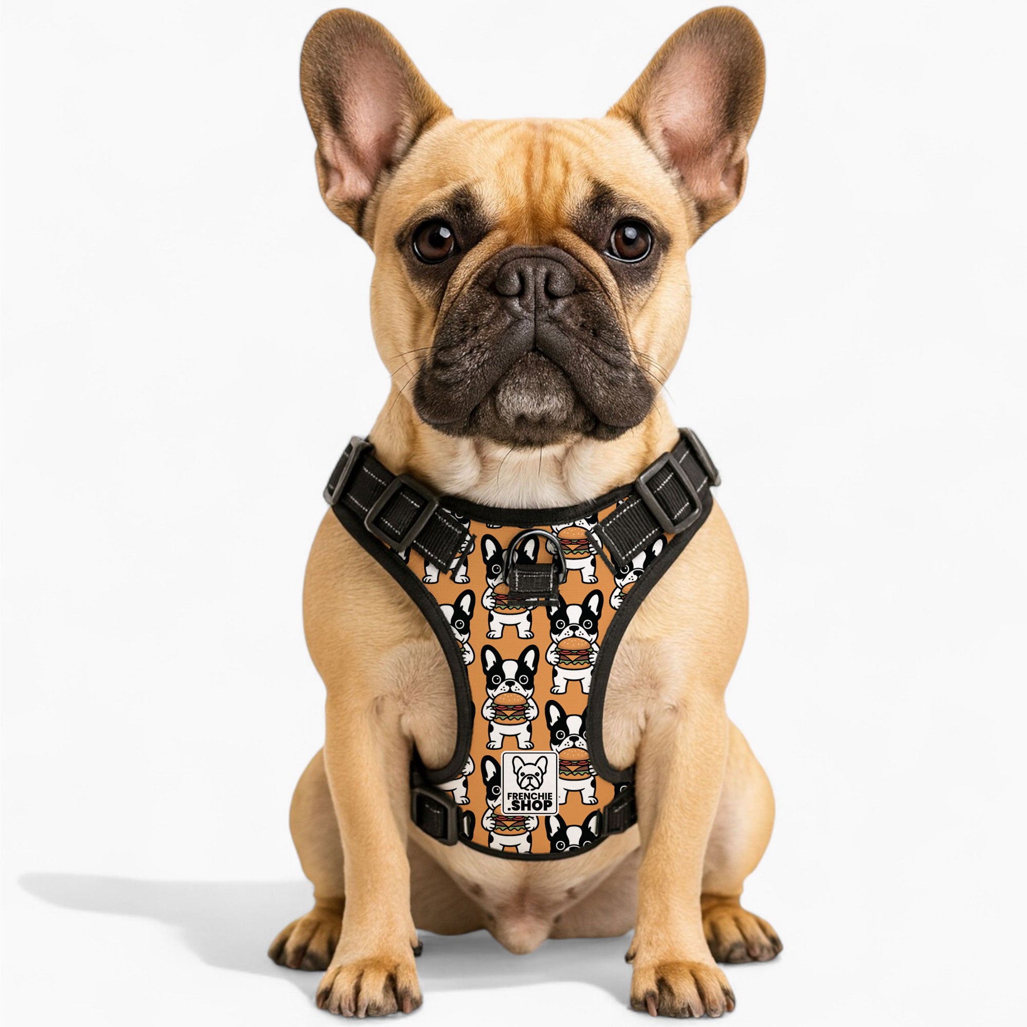 Durable Jenny - No-pull French Bulldog Dog Harness for Playtime Premium