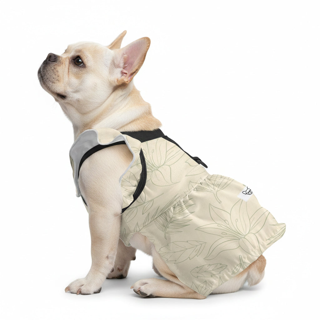 French Bulldog Zuri French Bulldog Dresses For Females Durable Dog Item