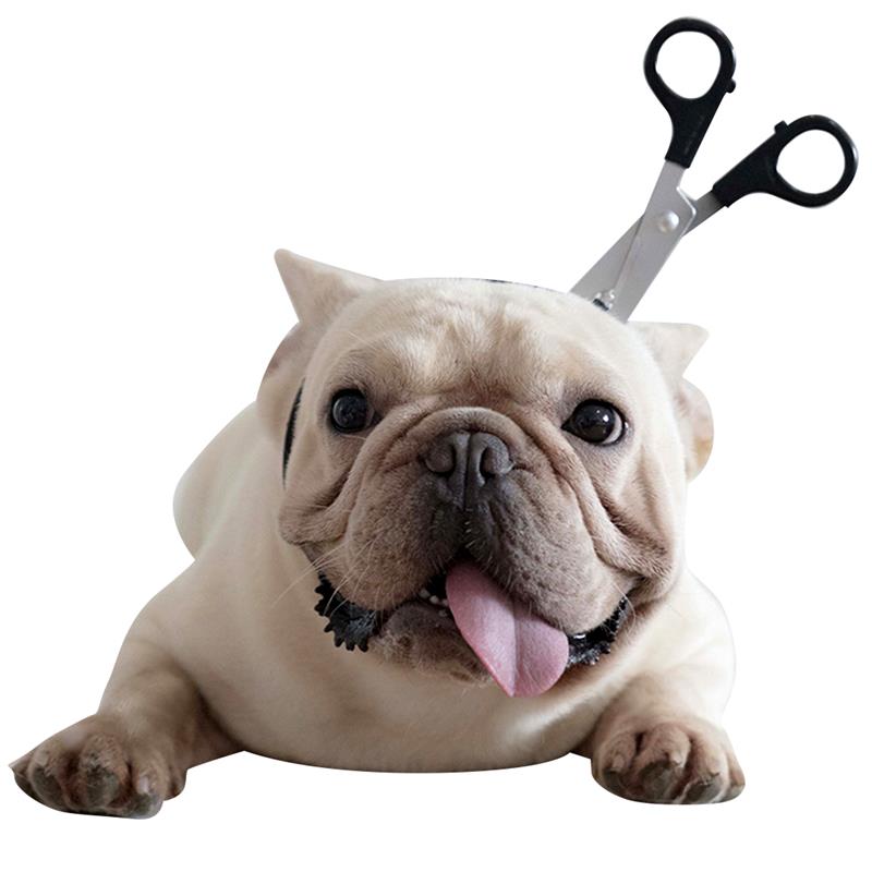 Halloween Accessories for French Bulldog