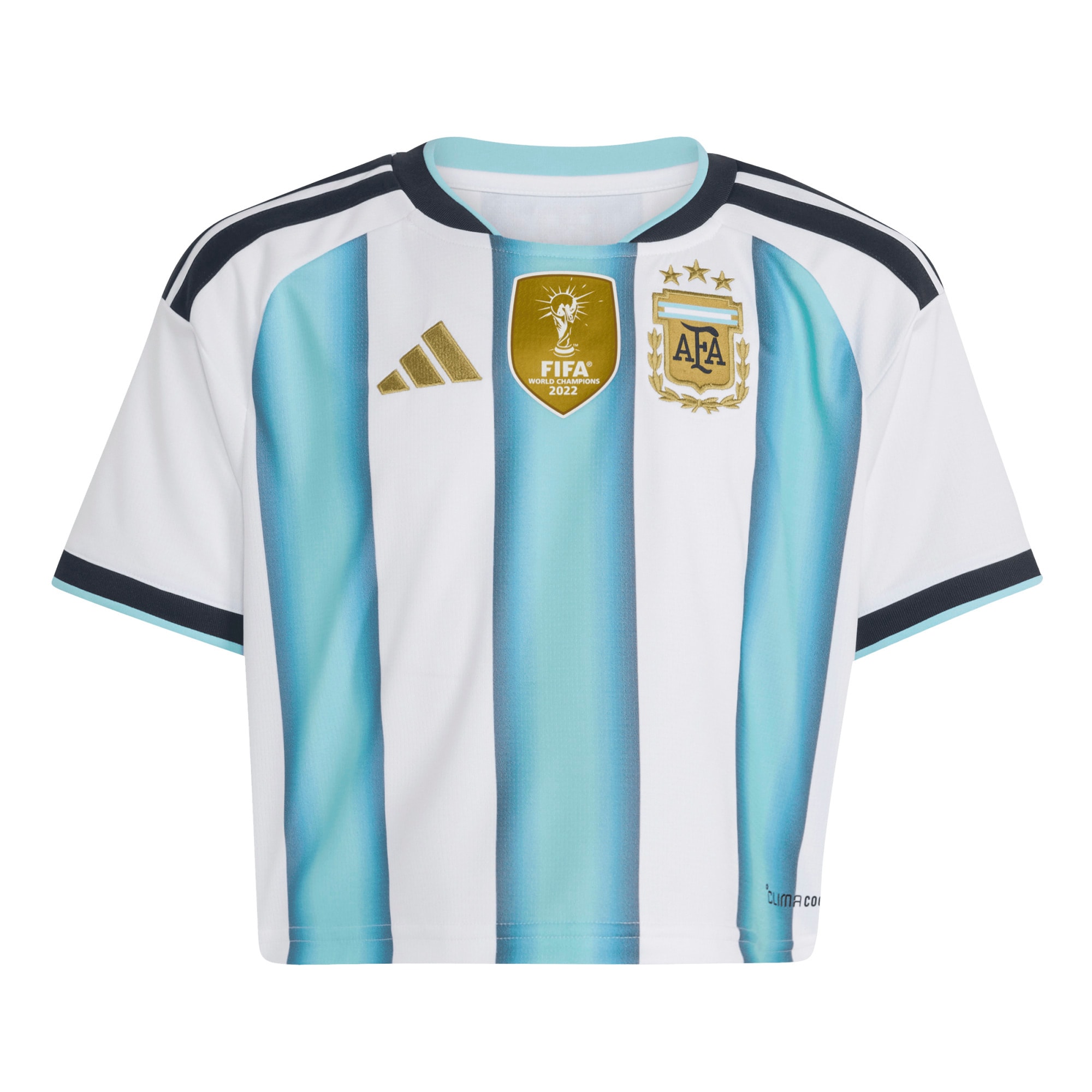 [LK] Argentina National Team Women's Home 2022 Winners Cropped Replica Jersey - White