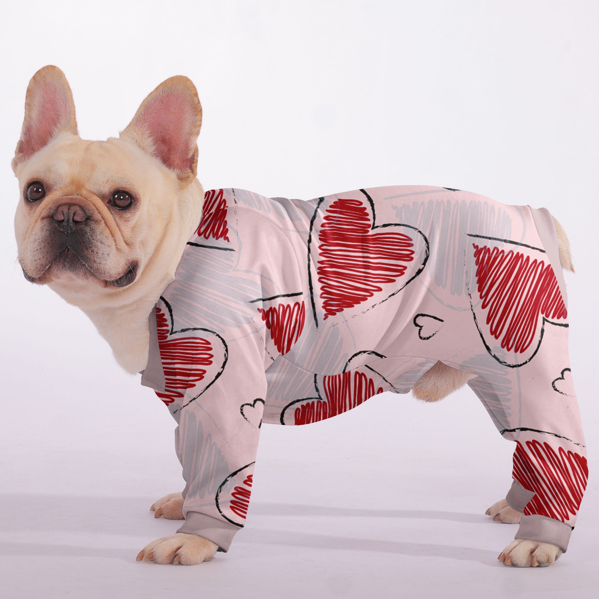 Remi - Frenchie Frenchie Pajama Paw Protection | Durable Build