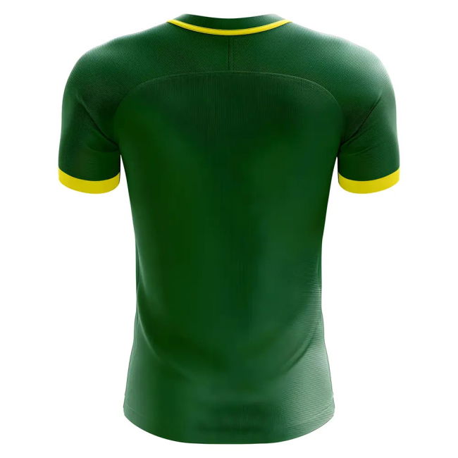 New Performance Cameroon Home Match Shirt (2)