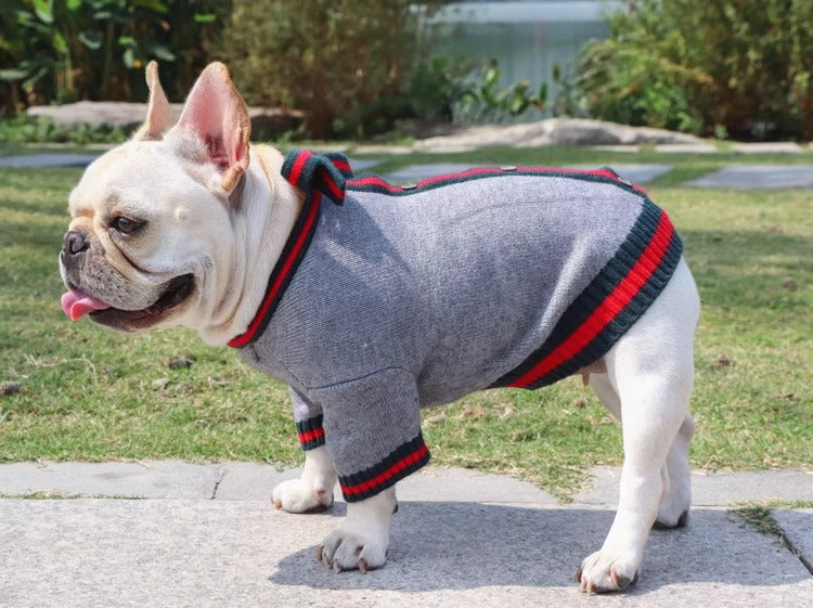 Lifestyle-Driven Frenchie Knit Pullover Sweater - Black With Red Ribb...