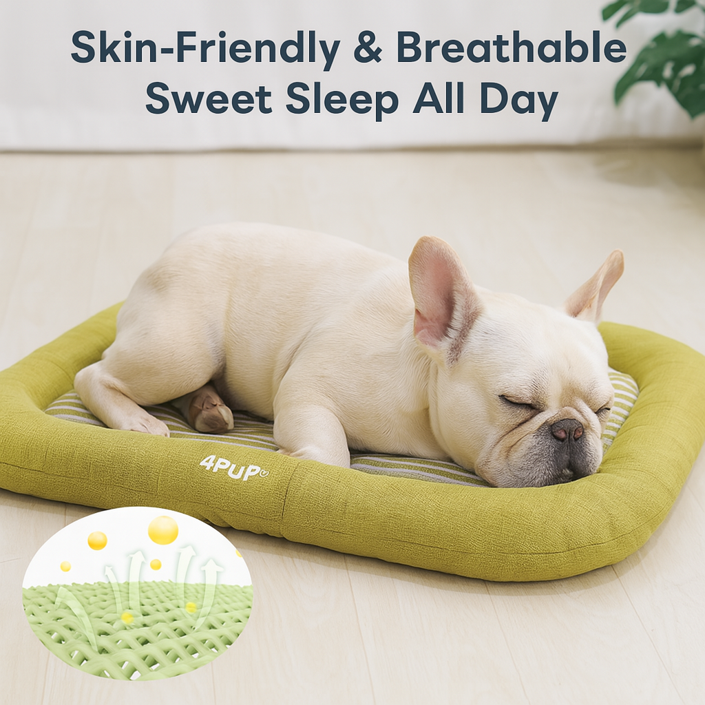 French Bulldog Comfuria Cozy French Bulldog Bed Pad – Rectangular Shape